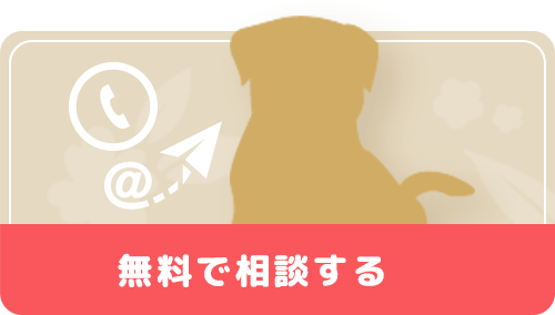 無料で相談する